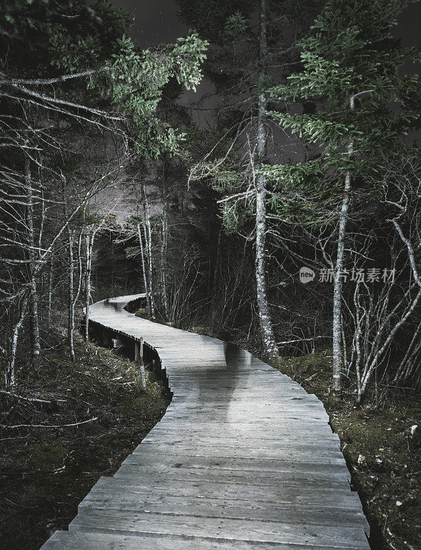 荒野晚上徒步旅行