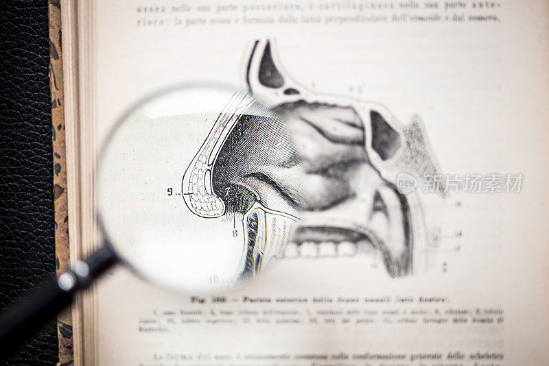 放大镜上的古董解剖学书:鼻子