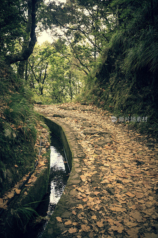 在马德拉岛徒步旅行