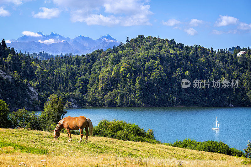 夏日美景与Czorsztyn湖和塔特拉山景观，波兰