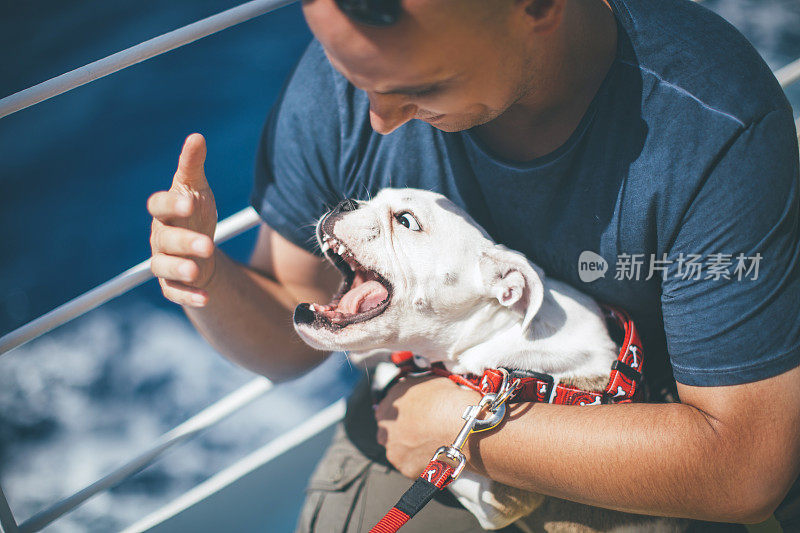 英国斗牛犬小狗和他的主人