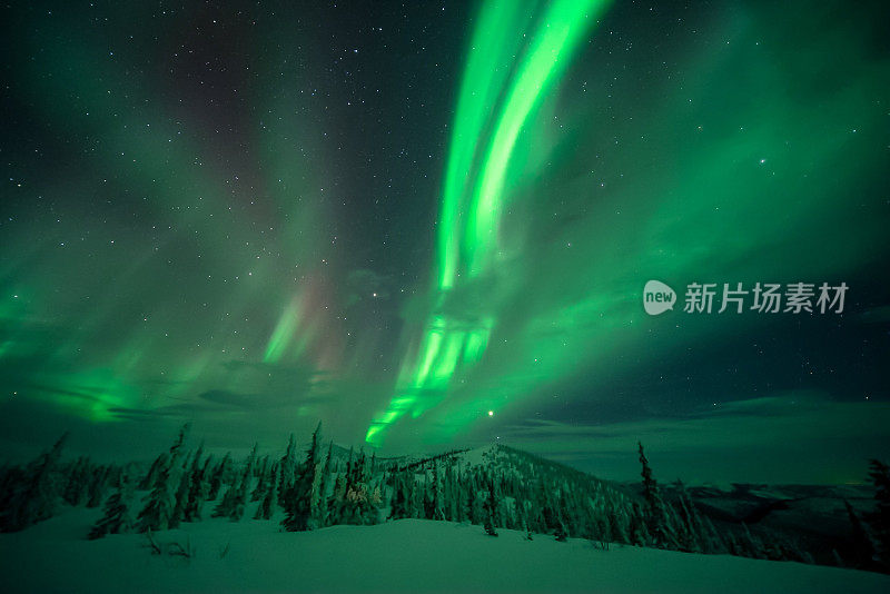 壮丽的绿色北极光在雪域上空盘旋
