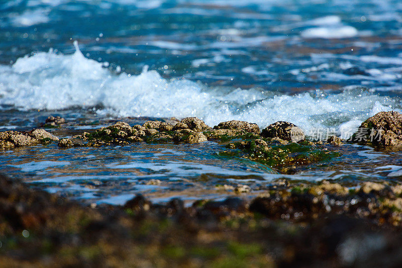 海浪在海边溅起水花