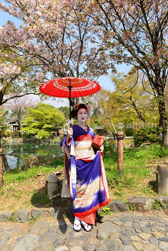 日本妇女在京都的春天享受舞子体验
