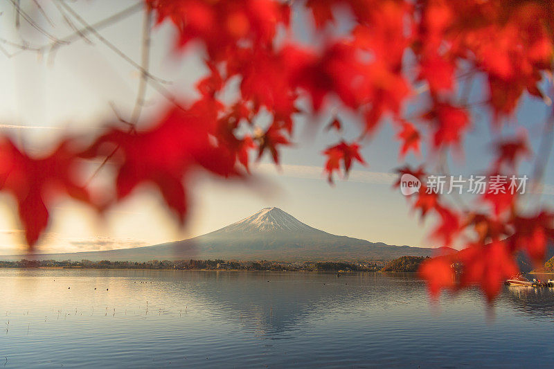 早晨的富士山和川口湖，秋季的富士山在山町。