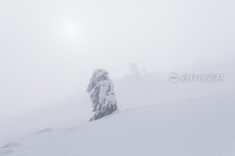 冬天山里有暴风雪