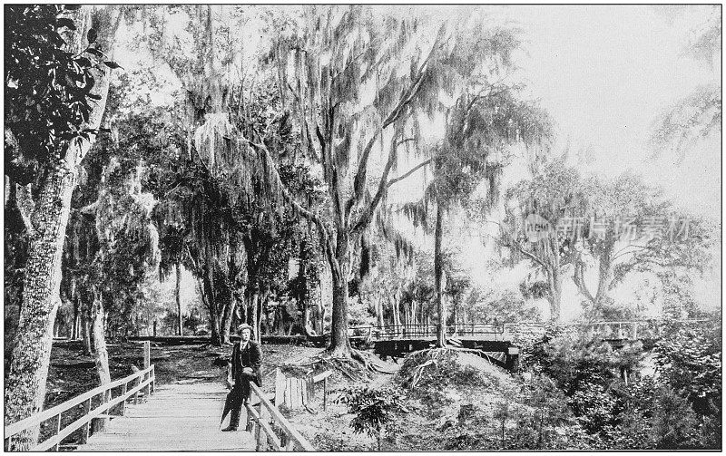 美国著名风景的古董照片:比恩维尔公园，莫比尔，阿拉巴马州