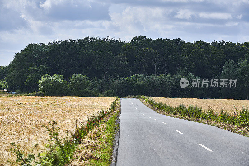 有道路标记的道路