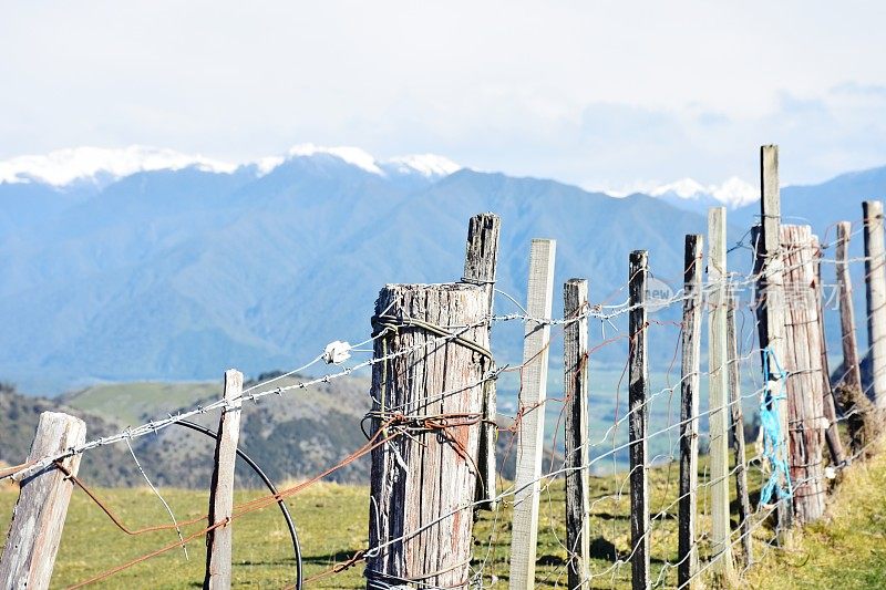 新西兰，乡村篱笆和景观