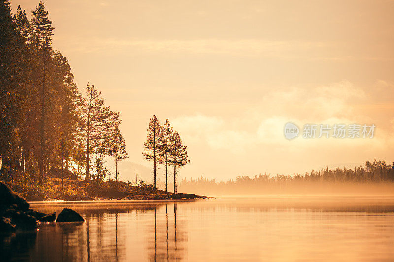 森林里夕阳西下，湖泊在林中，雾气蒙蒙