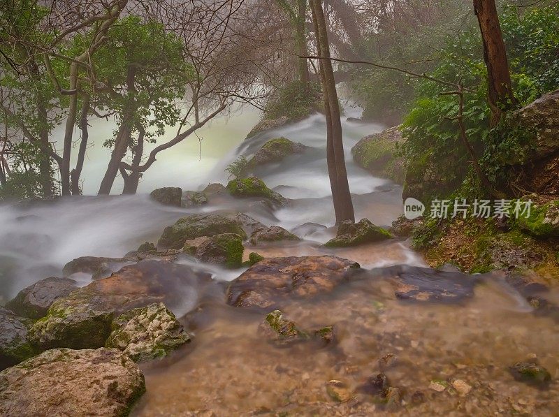 溪与雾:河岸的神秘