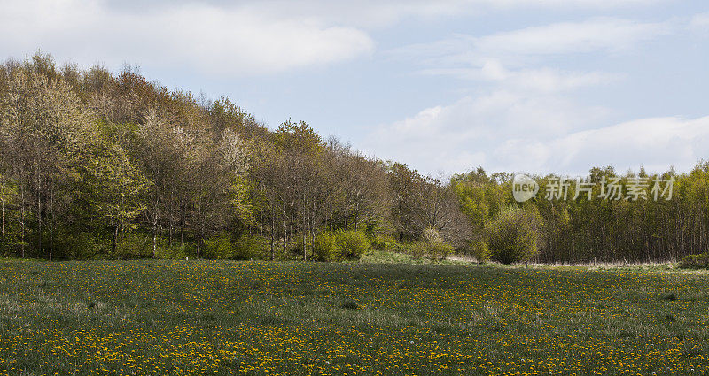 全景国家风景