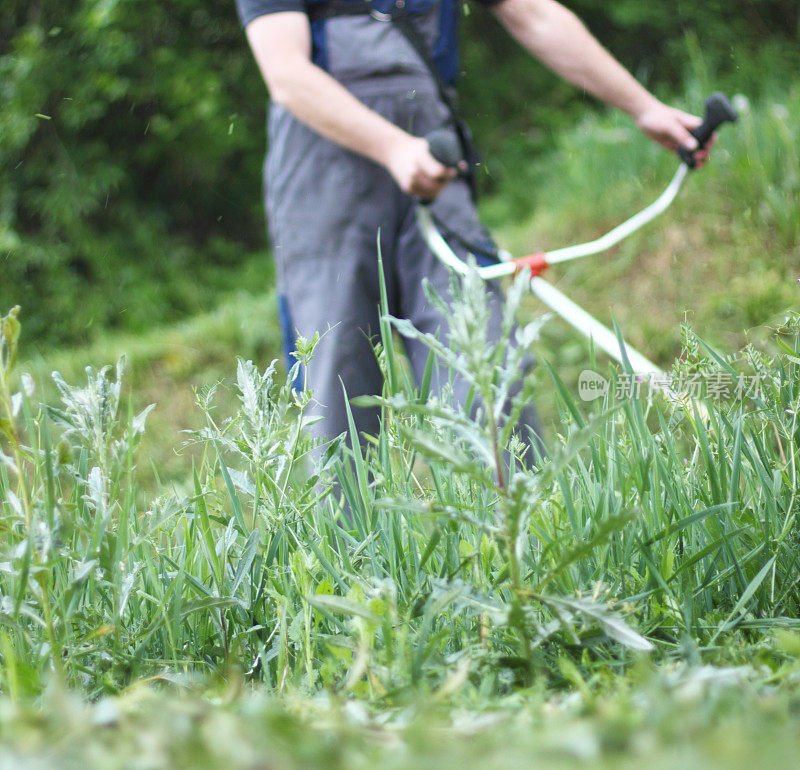 近距离的草刷