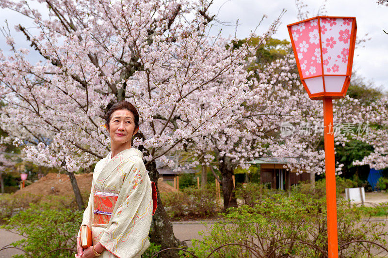 穿着和服的日本妇女在京都丸山公园欣赏樱花