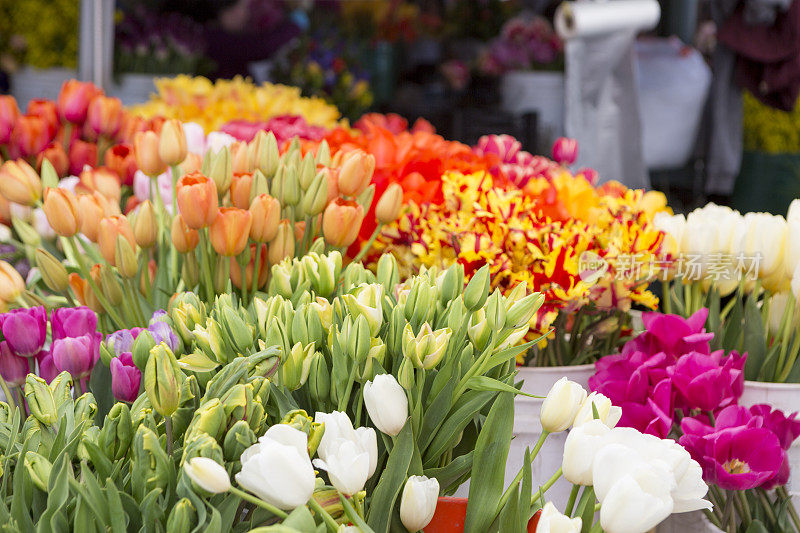 新鲜的郁金香在户外农民或花卉市场