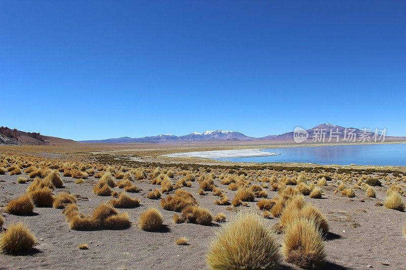 塔拉盐平（萨拉德塔拉），阿塔卡马沙漠，智利