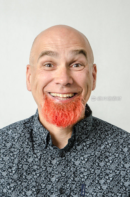 一个下巴染红胡须的秃顶男人的肖像