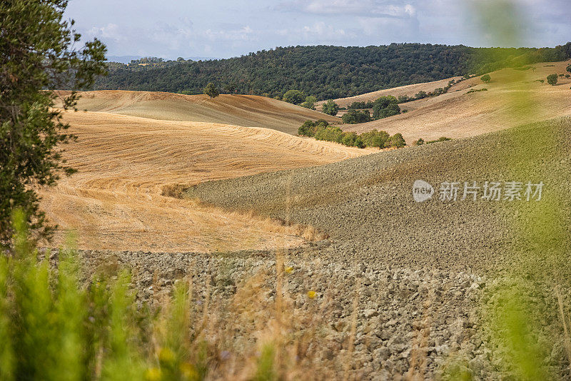典型的托斯卡纳景观:基安蒂和奥恰谷乡村景观