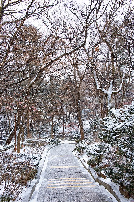 首尔的下雪天