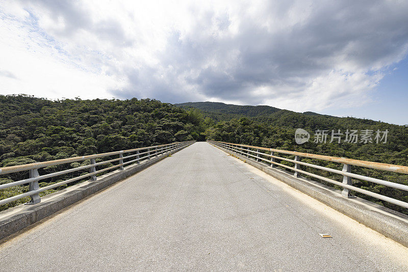 长尾桥，山原雨林，冲绳，日本