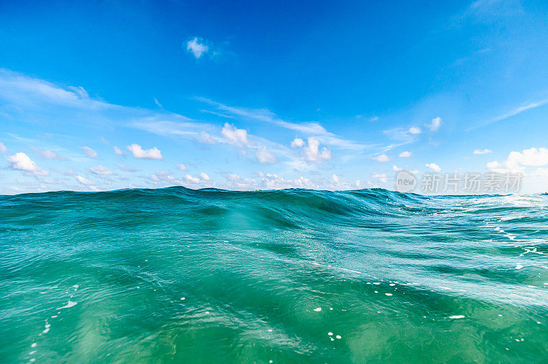 海洋风景优美，水下有海天浪，海滩有佛罗里达棕榈滩