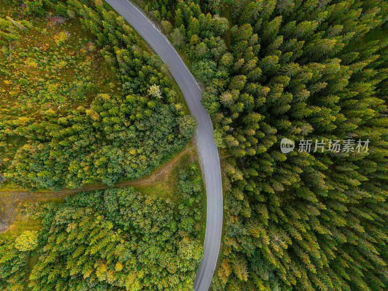 从上面俯瞰森林道路的壮丽景色