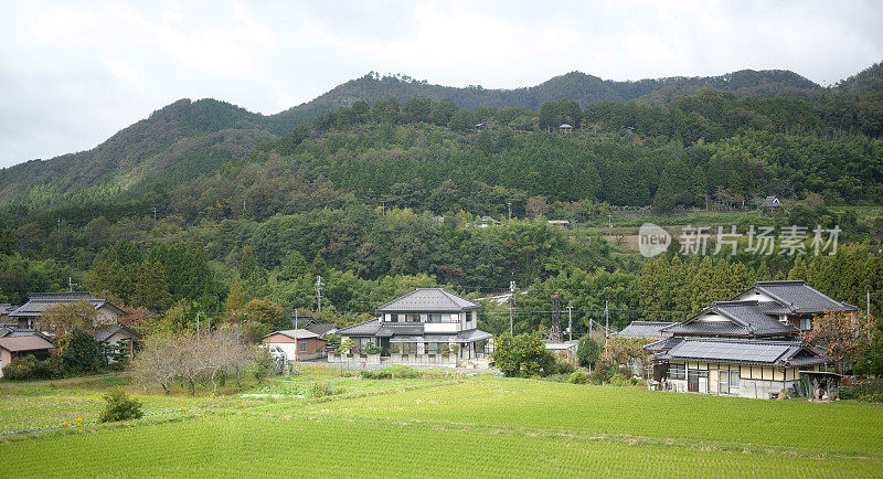 日本京都的老式住宅和传统日本乡村，有稻田和山