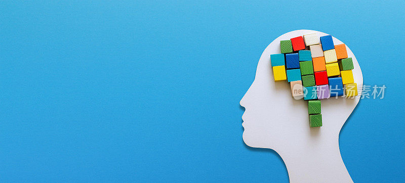 心理健康概念。人类的大脑是由五颜六色的木块组成的。