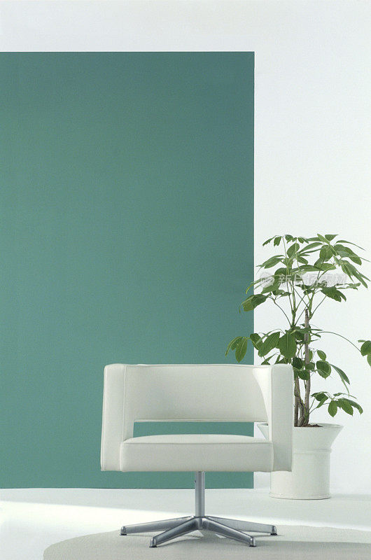 带有盆栽树的现代白色椅子