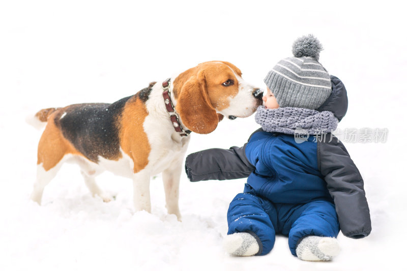 宝宝和小猎犬在雪地上玩了一天