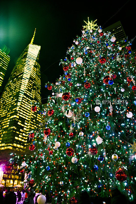 纽约市布莱恩特公园的圣诞树