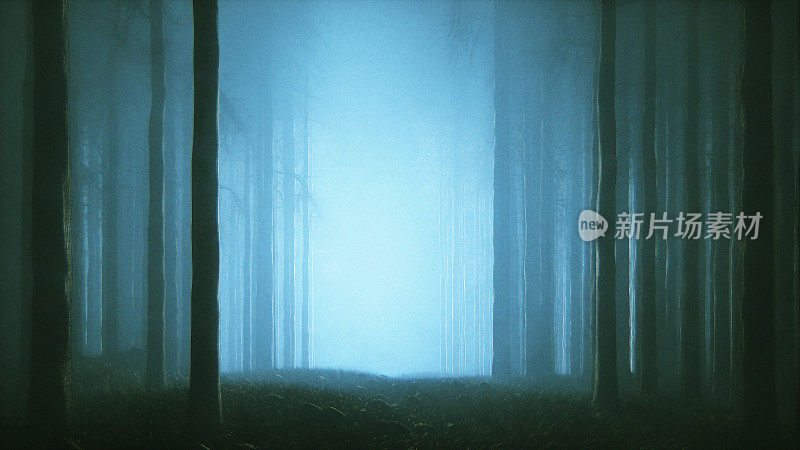 神秘的森林