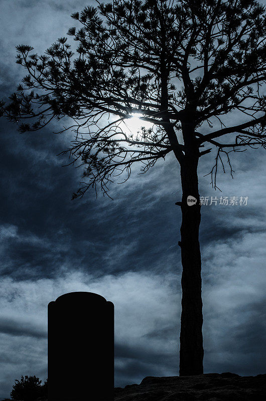 月光皎洁的墓地里一棵阴森森的树
