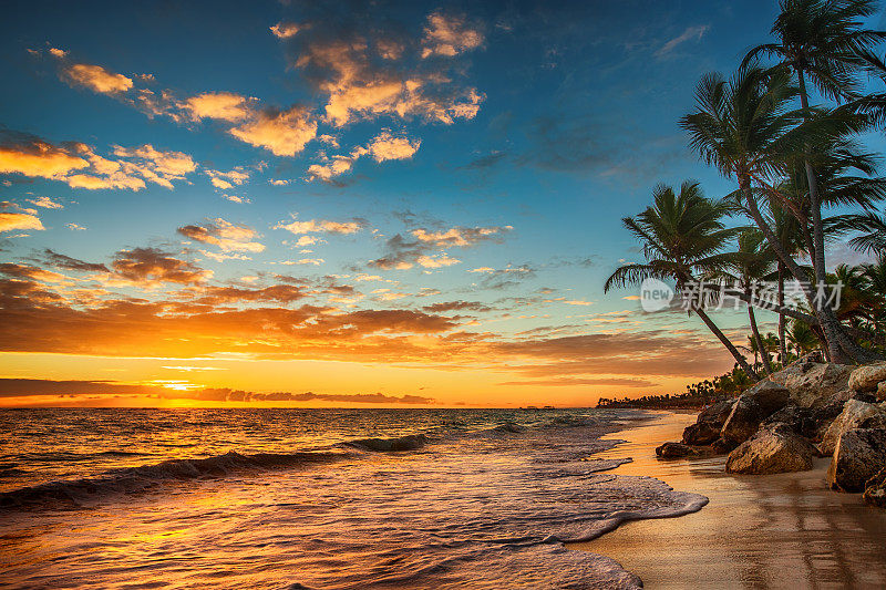 热带岛屿上的日出。天堂般的热带景观