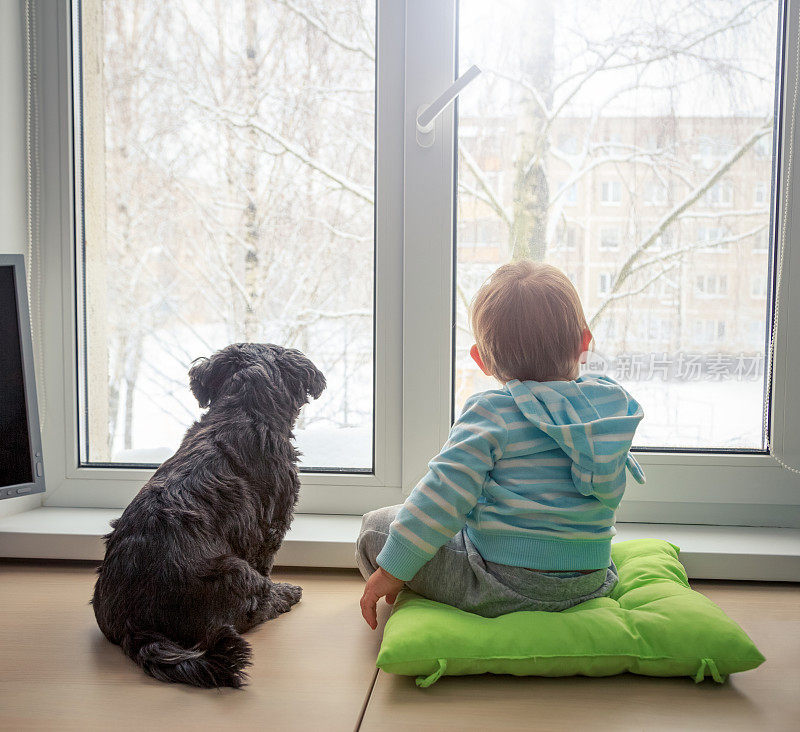 婴儿和狗在冬天透过窗户看