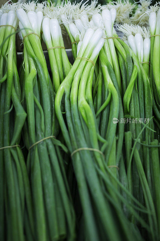 街市上的新鲜蔬菜，韭菜