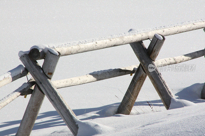 雪中的杨木栅栏