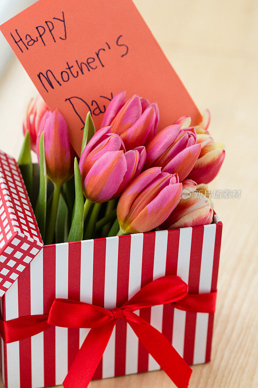 母亲节礼物盒里的春天郁金香