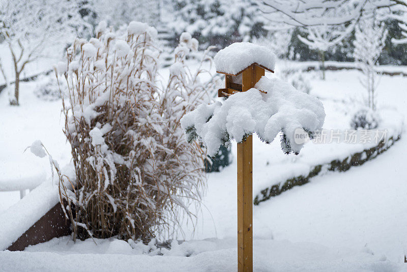 鸟屋用冷杉树枝和雪