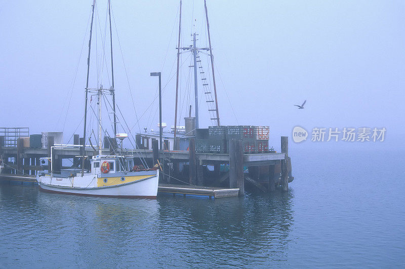 黎明时分的博德加湾