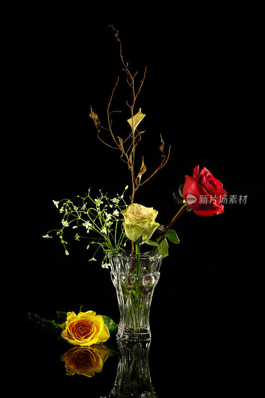 花瓶中的玫瑰在反射的表面上