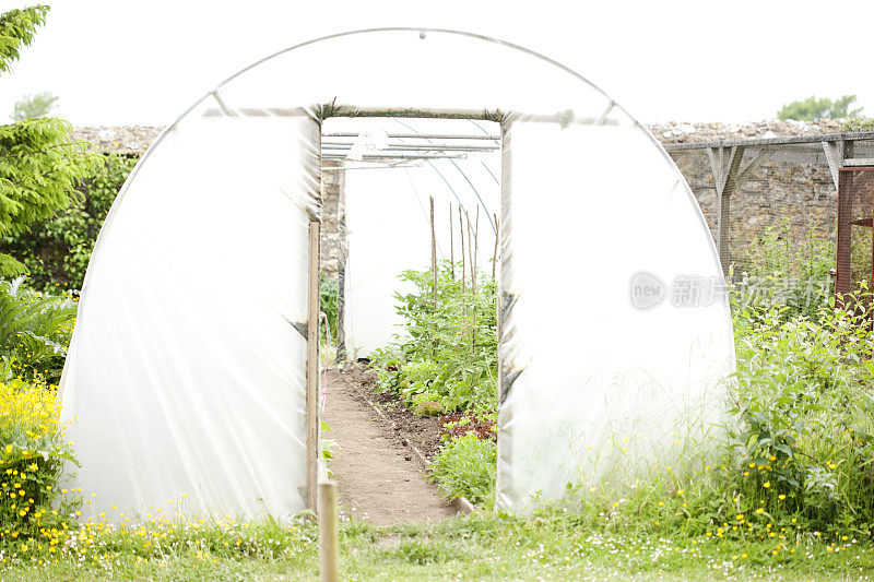 查看到一个在polytunnel