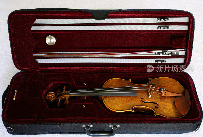 案例中的小提琴