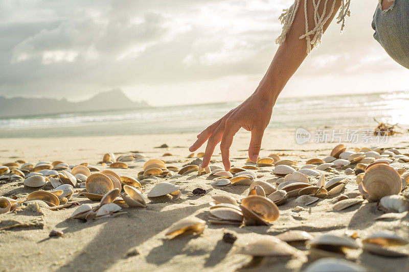 近距离观察一个女人在海滩上捡贝壳的手