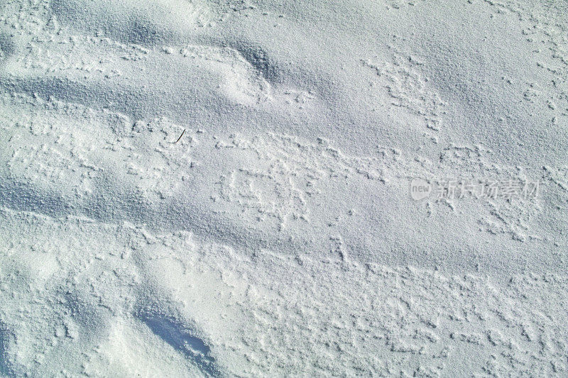 以白雪为背景的冬季景观