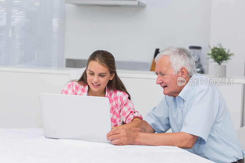 爷爷和孙女在用笔记本电脑