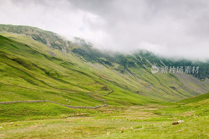 风景与山脉，草地和羊群，湖区，英格兰。