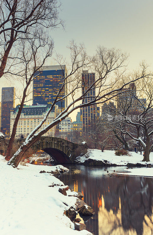 纽约中央公园的冬天