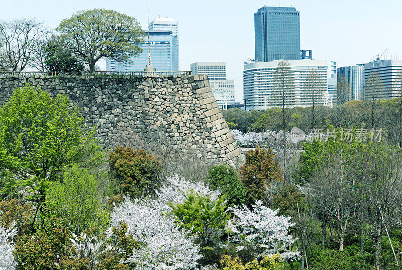 中世纪时期的大阪墙下开花的树木