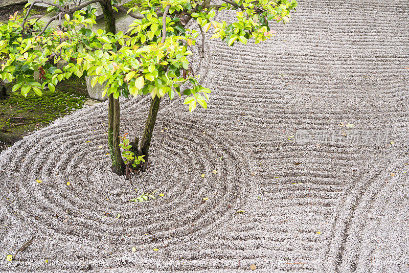 日本京都春寺禅宗花园细节